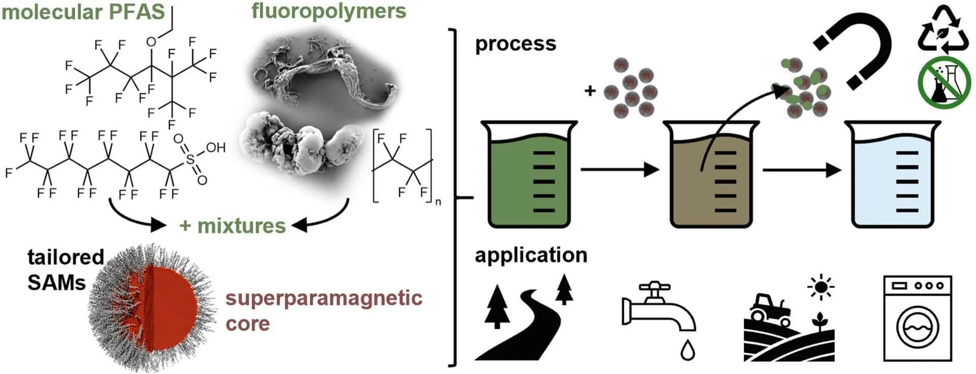Magnetic nanoparticles remove forever chemicals from water