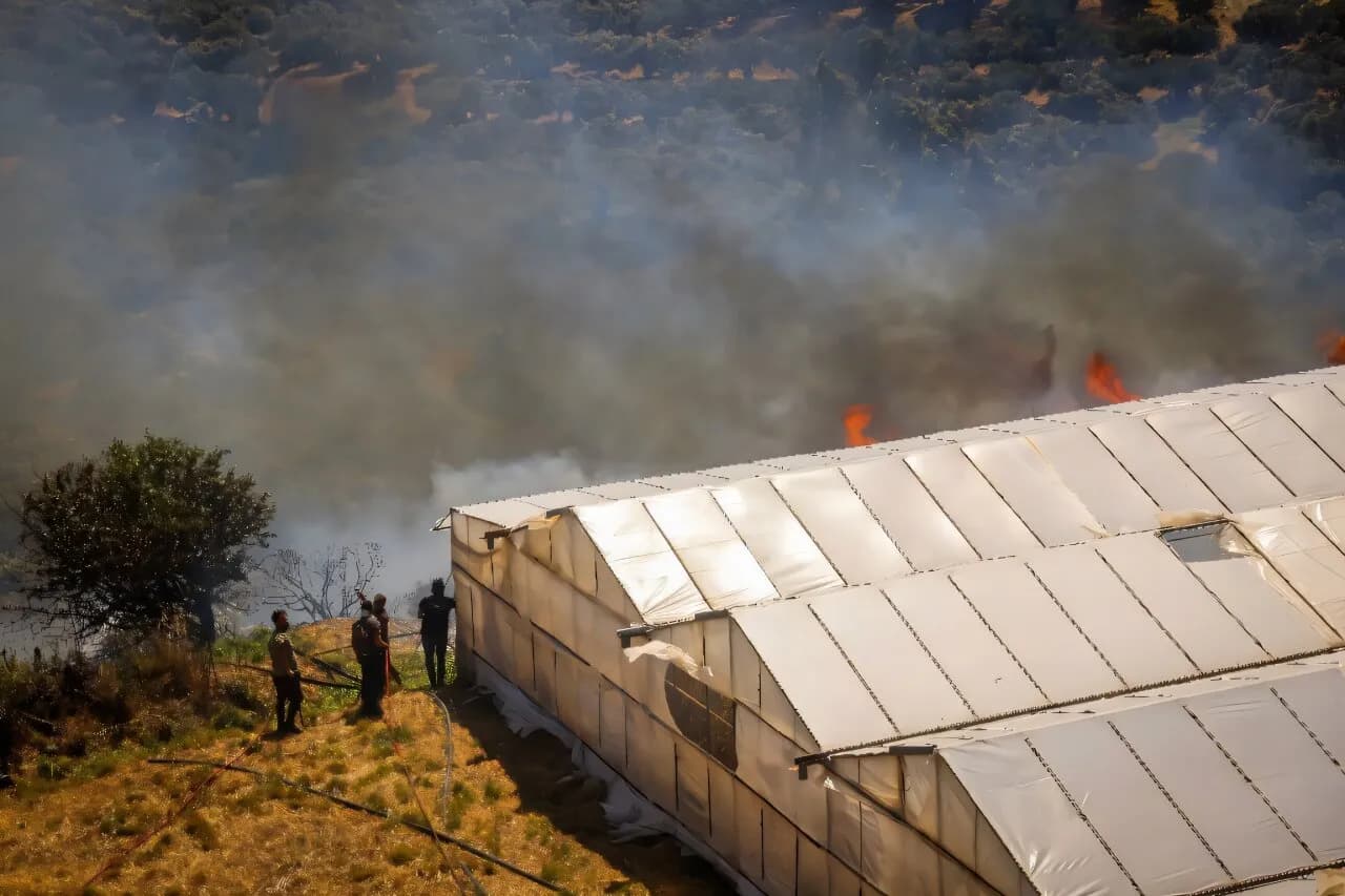 New blazes in Greece as strong winds hamper firefighting