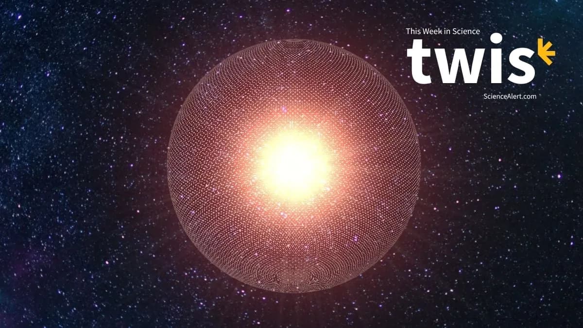 This Week in Science: Dyson Spheres, Hidden Amazon Structures, And More