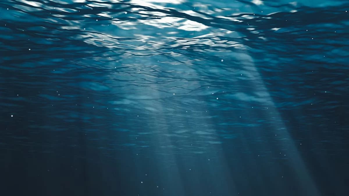 'most Isolated Environments': Microplastics Are Finding Their Way Down to Deep-Sea Hydrothermal Vents