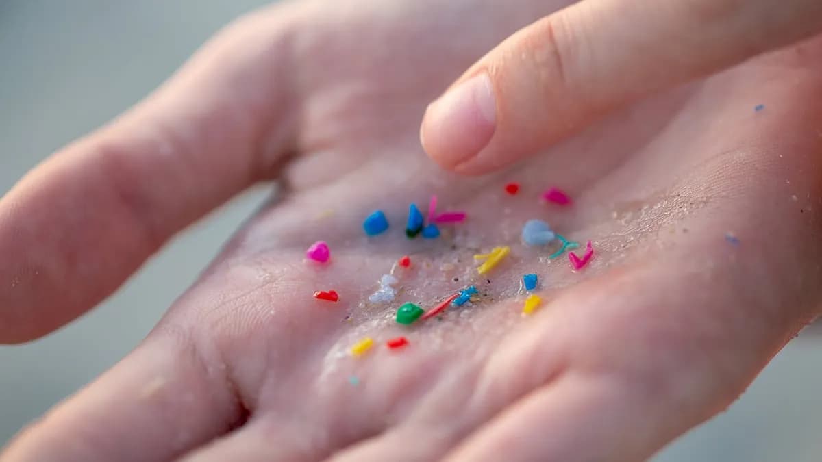 Scientists Tested 17 Human Artery Samples &ndash; And Found Microplastics in Every Single One