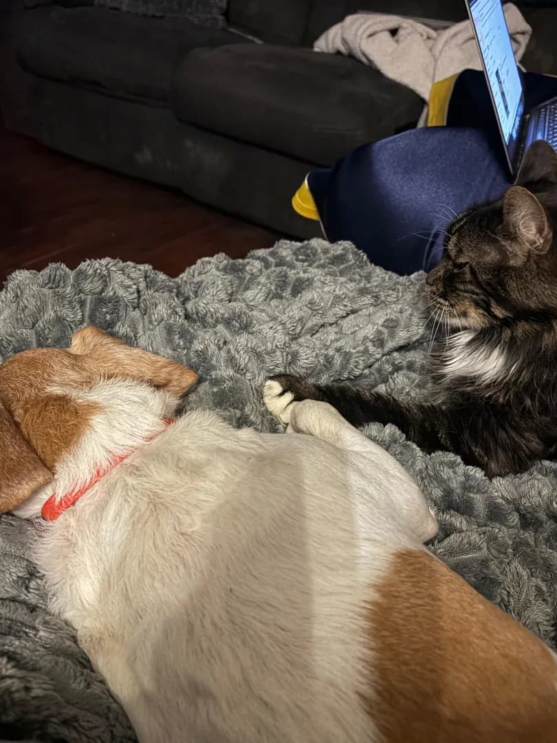 Caught my dog and cat holding paws last night 🥹 Best friends for almost 9 years ♥️