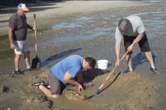 Record-low water levels in Bulgaria have exposed the bones of a large mammoth in the riverbed near the village of Ryahovo