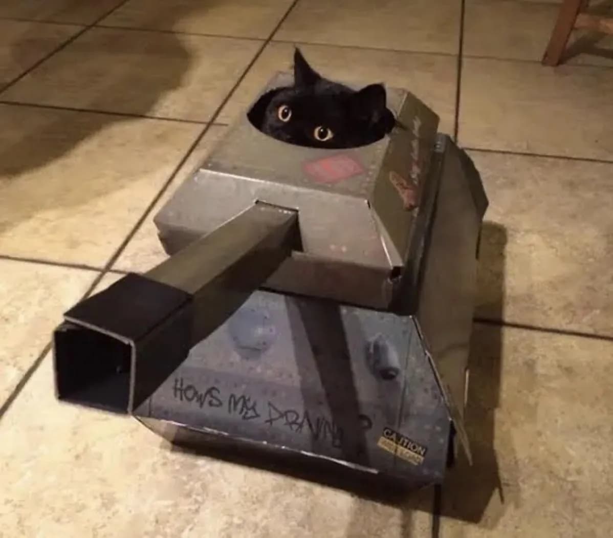AutoPaws Roll Out!