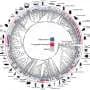 A cooperative approach to reproductive success