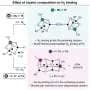 Why some nitrogen-processing enzymes are more efficient than others