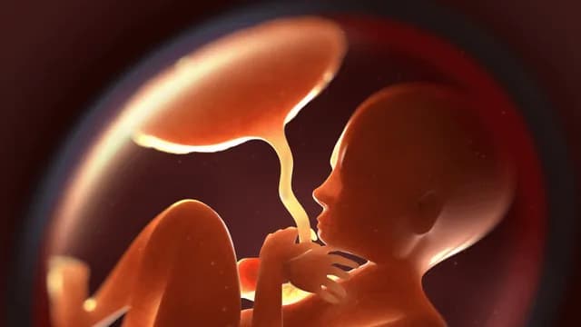 New Evidence That Microplastics Can Cross Placental Barrier And Alter Hormone Production. Study in mice showed that tiny plastic fragments inhaled by a mother mouse during pregnancy may be present in