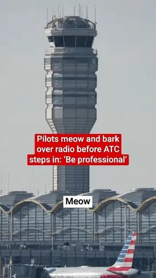 Pilots meowing and barking at each other over radio