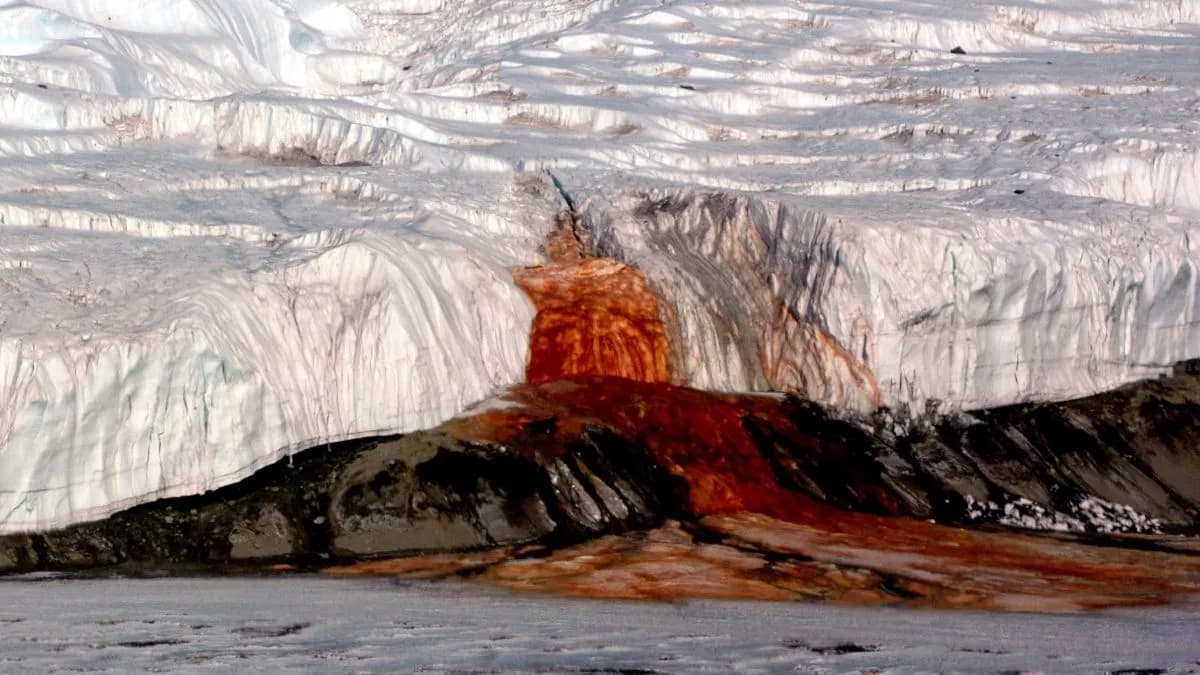 'Unique Refuge': A Lost Sea May Still Be Alive Beneath Antarctica's Eerie Blood Falls