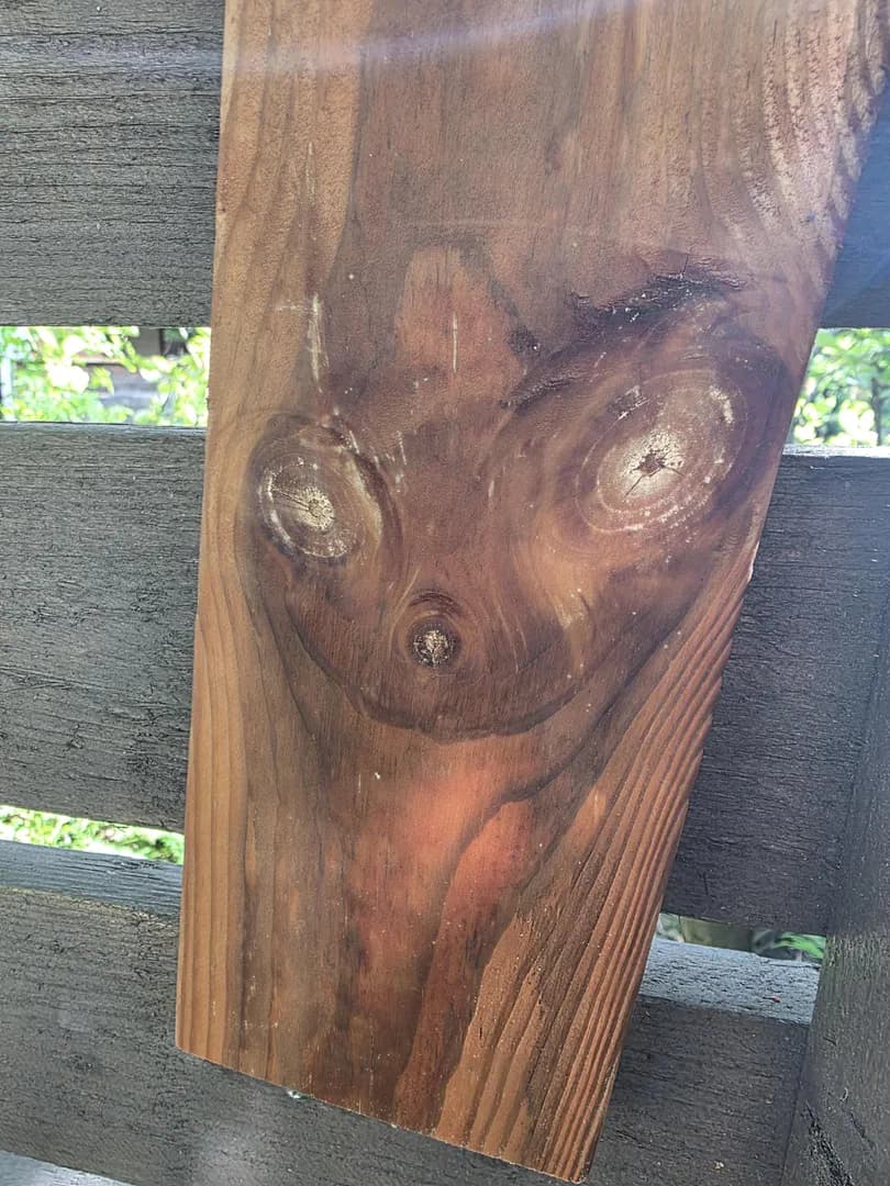 Sooo I'm building a fence and I found this.