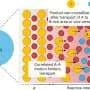AI models atom movement to predict solid-state reaction pathways, including impurities, in minutes