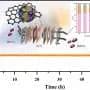 Researchers develop a new catalyst to convert CO₂ into ethanol using electricity