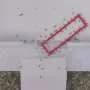 Ant teams beat gravity-based puzzle solvers