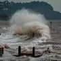 Hurricane storm surge follows predictable patterns, study finds