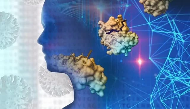 New study finds that evolutionary history may help explain why some people develop more severe COVID-19 than others
