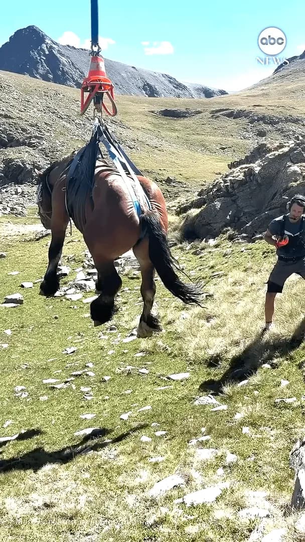 Rescue workers airlift injured horse from mountain area in Andorra.