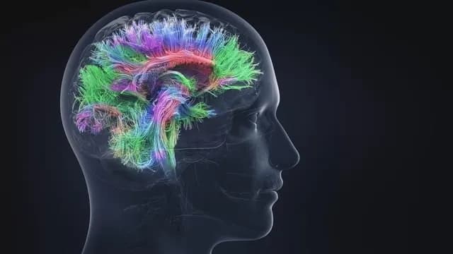 Naturalistic observational study finds Atomoxetine and Methylphenidate significantly improved self-esteem and quality of life in adults with ADHD