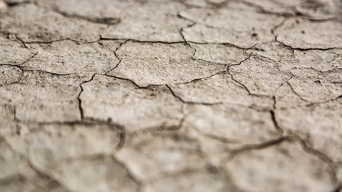 California's Drought Has Now Caused Irreversible Damage to a Crucial Aquifer