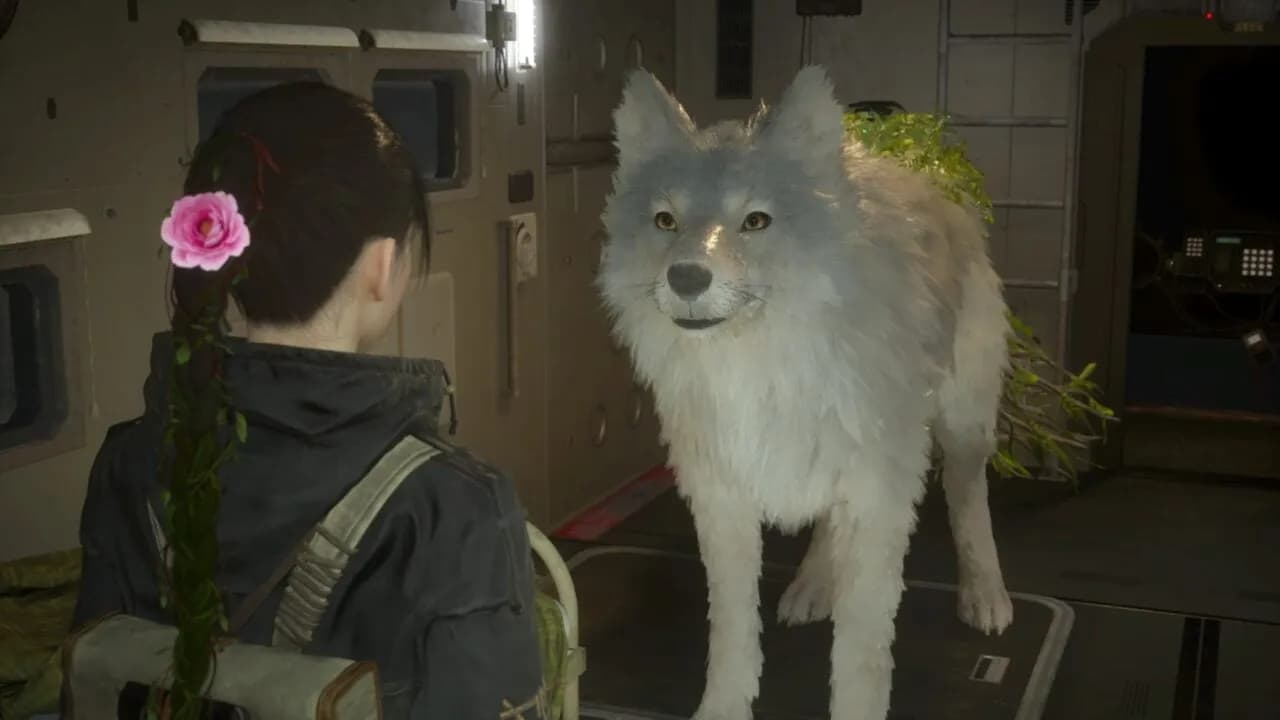 Beast Of Reincarnation’s Dog Keeps Jump Scaring Me