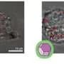 New method could sharpen diamond quantum sensors for tracking activity in single cells