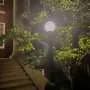 Reducing night lights in cities has ecological effects