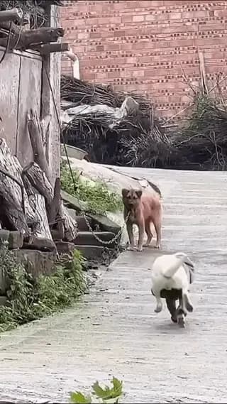 True friendship needs no words