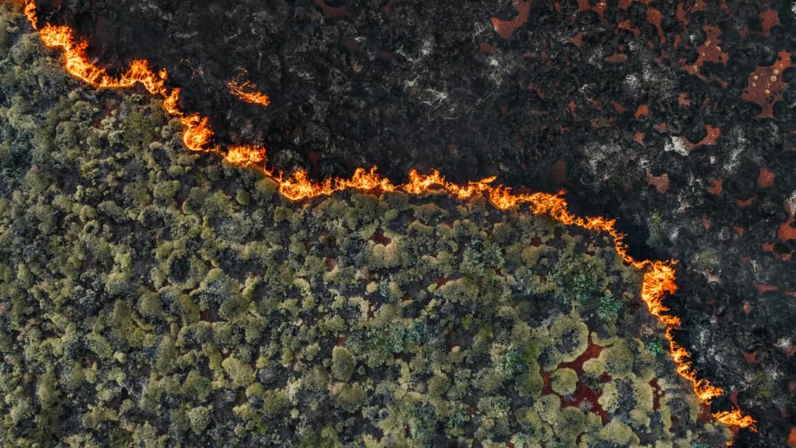Senators demand crackdown on wildfire "prediction markets"