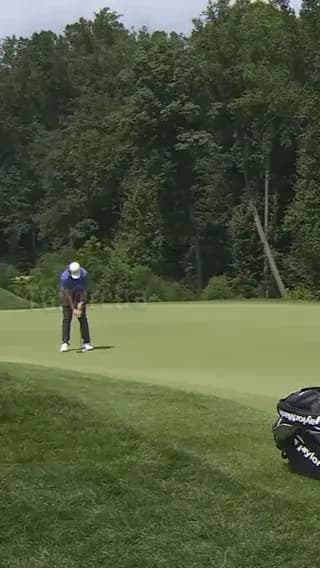 A golfer won more than $2 million thanks to a fly