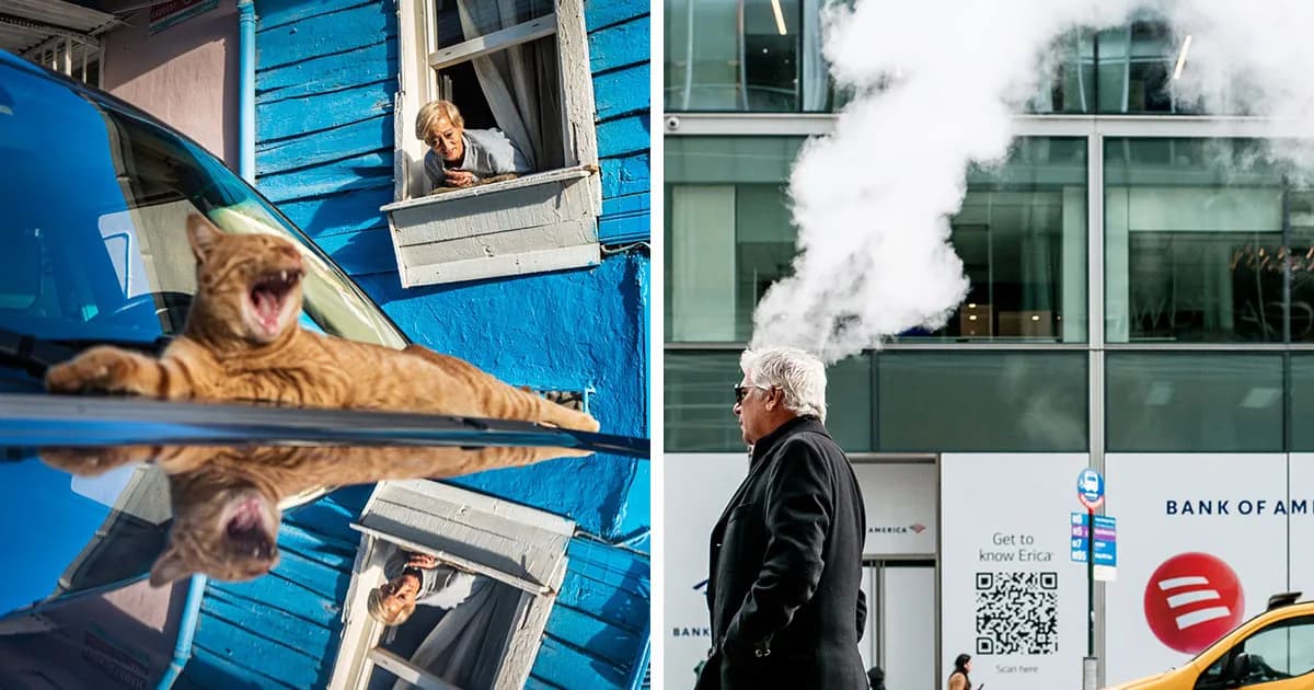 47 Images From The Edge Street Photography Awards That Turn Ordinary Scenes Into Art And Comedy