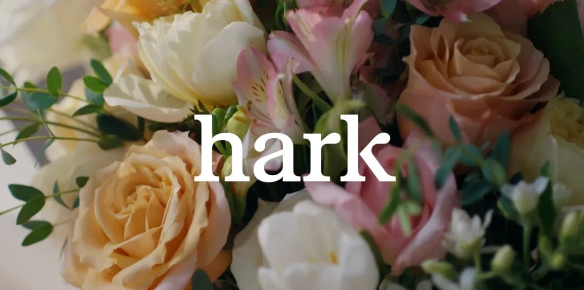 Hark previews its browser use agent for completing tasks | TechCrunch