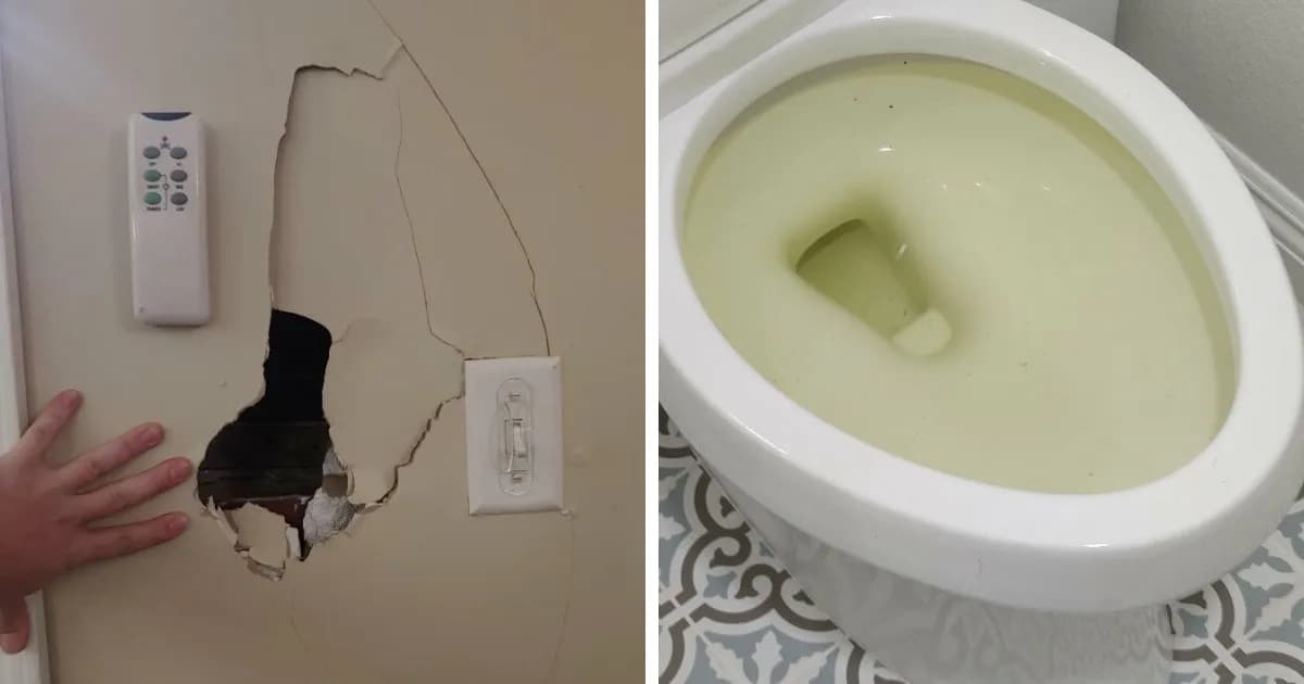 Dating Dealbreakers: 46 Things Men Noticed At A Woman’s Home