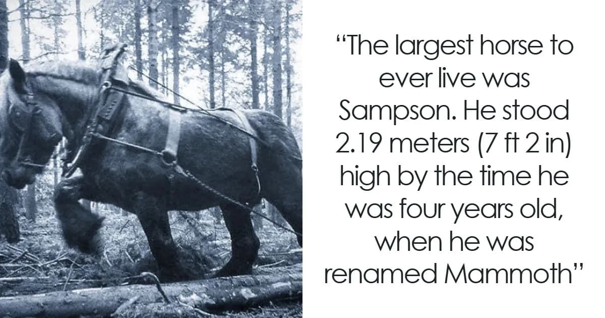 The Past Never Runs Out Of Surprises: History Facts And Stories