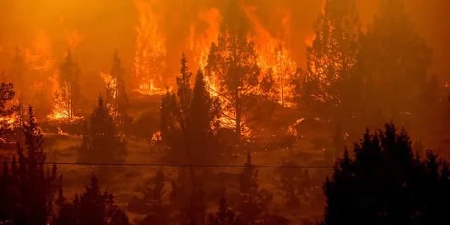 Oregon senators warn prediction markets allowing betting on wildfires could incentivize arson
