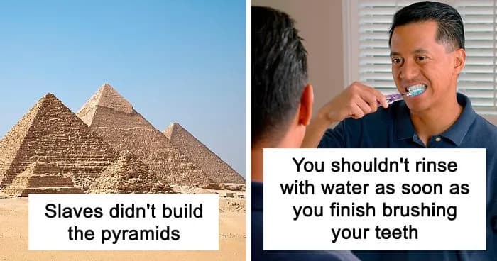 Person Share 27 Widely Accepted Facts They Know Are Wrong