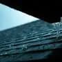 Harvesting rainwater from rooftops could help cities stay cool and cut the number of heat wave days