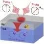 Electric field reverses phonon chirality and spin direction in ferroelectric crystal