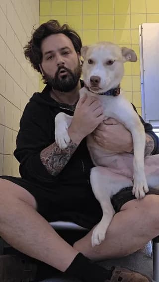 Rating shelter dogs based on how nicely they take their chicken nuggets 💙