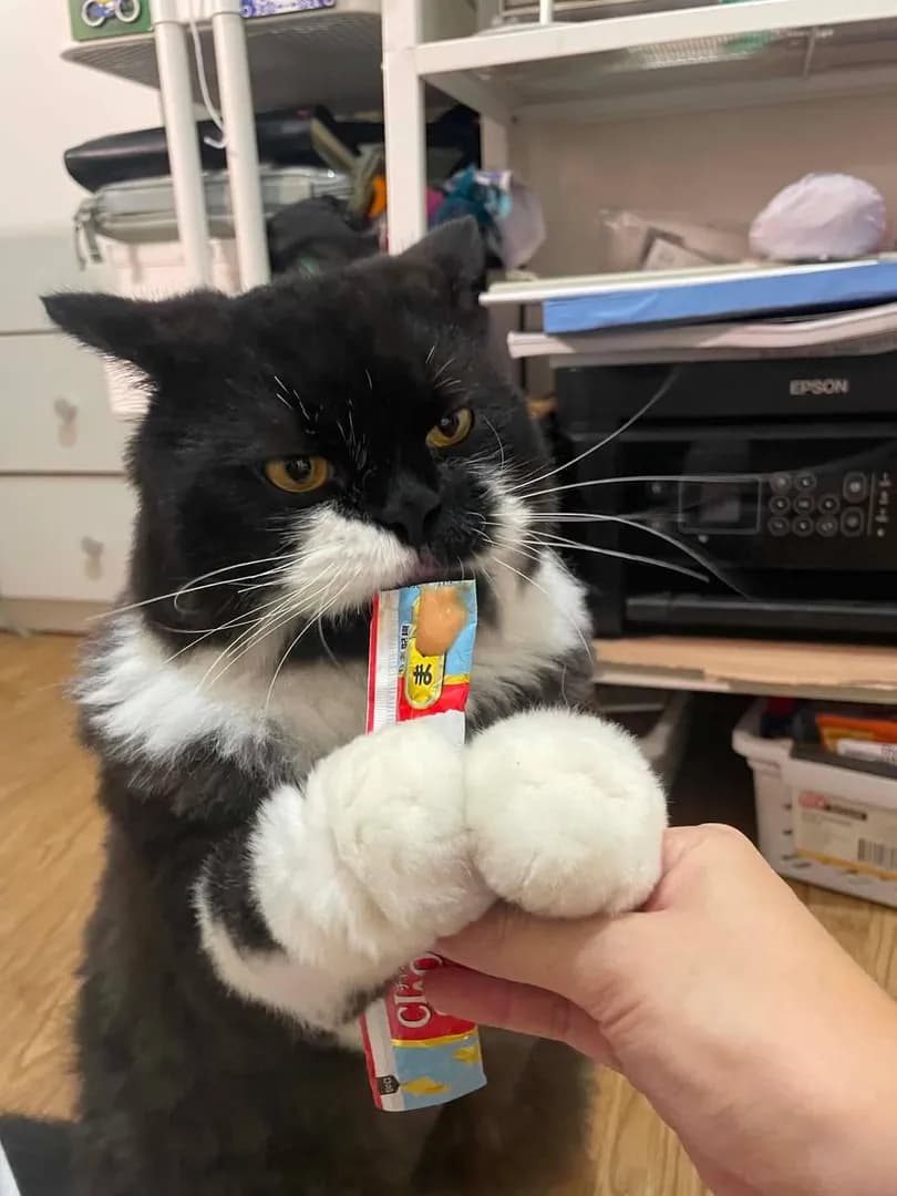 Like a kid eating a popsicle on a summer day