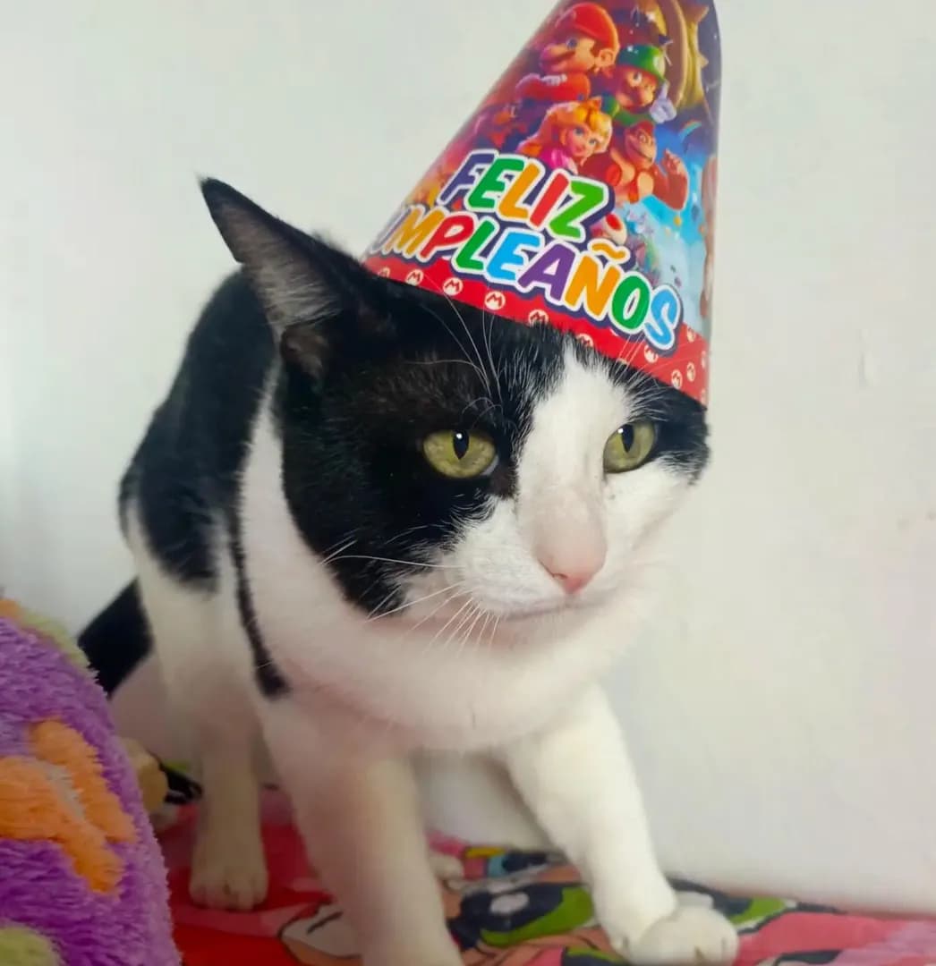 My other baby’s birthday today