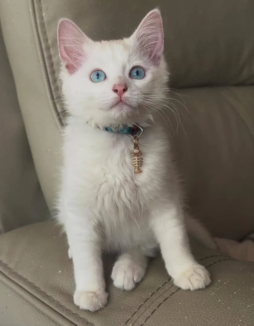 Blue woke up photogenic today