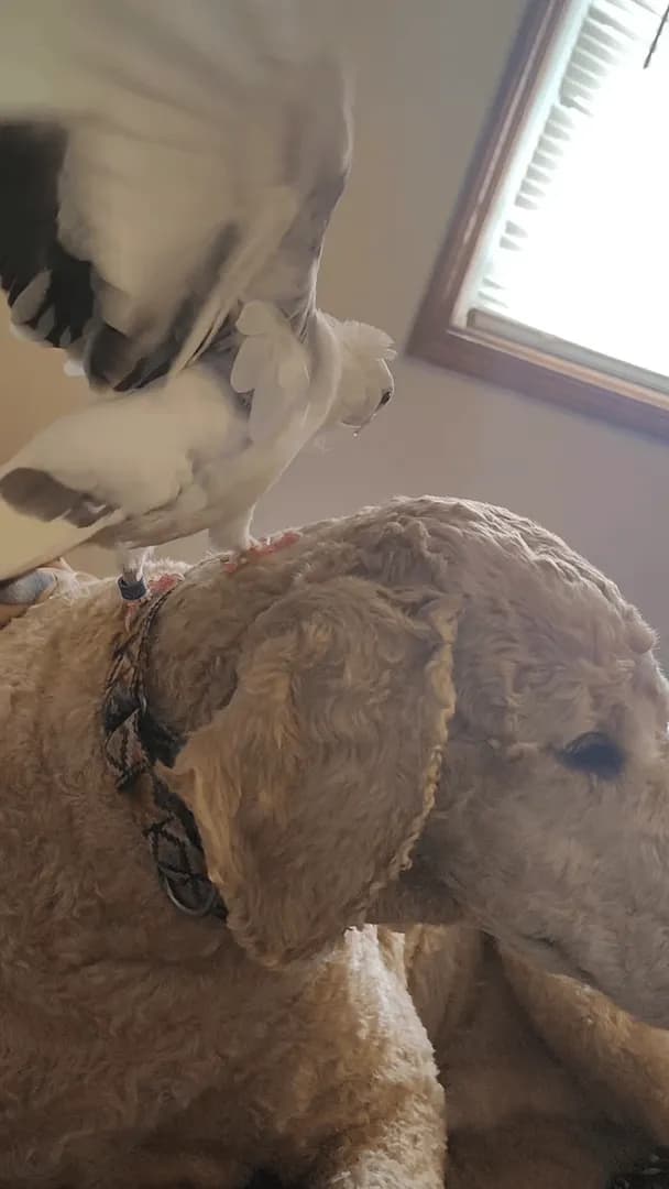 It's an unlikely friendship, but it still makes me go "awww" 😍💕