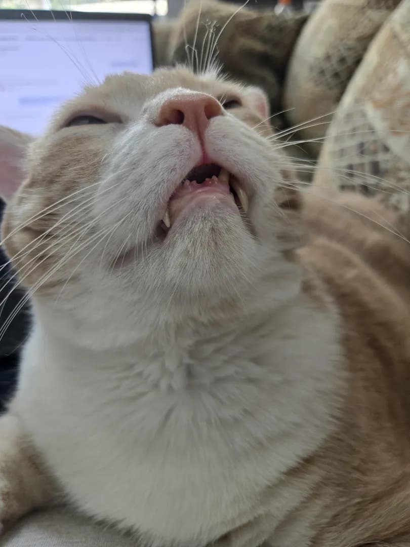 When you open your phone's camera and forgot it's still set to the front camera