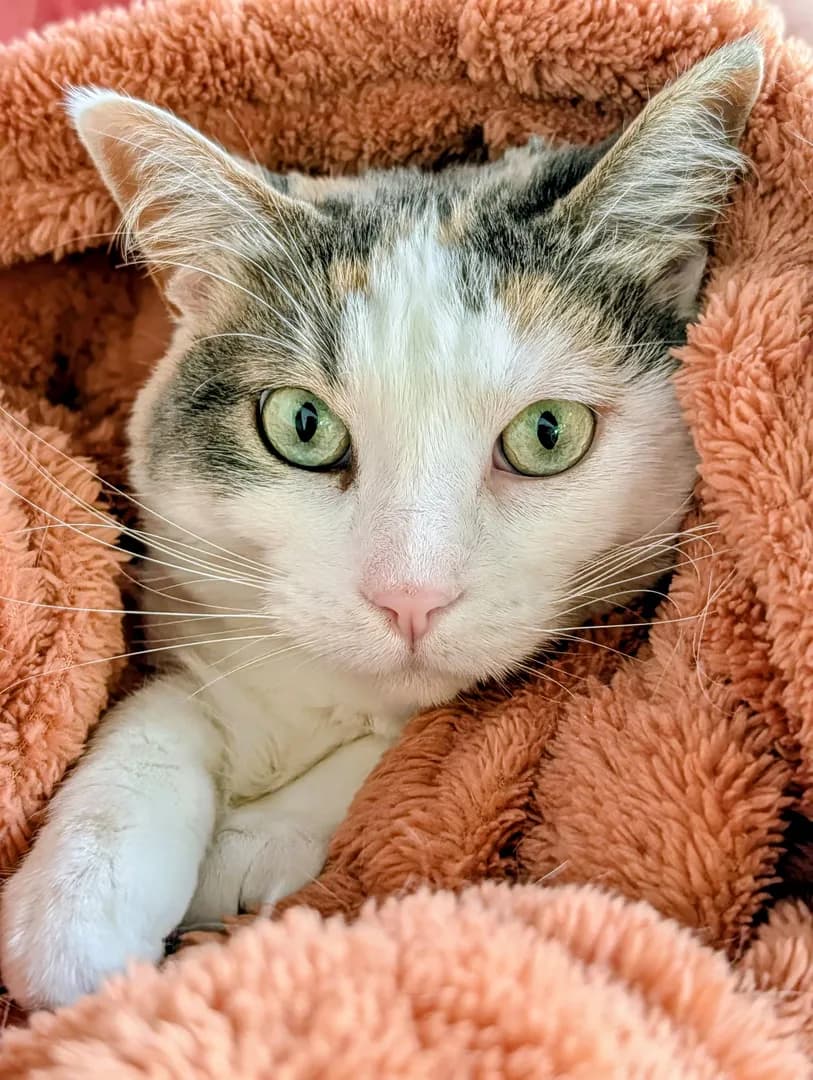 All snuggled in