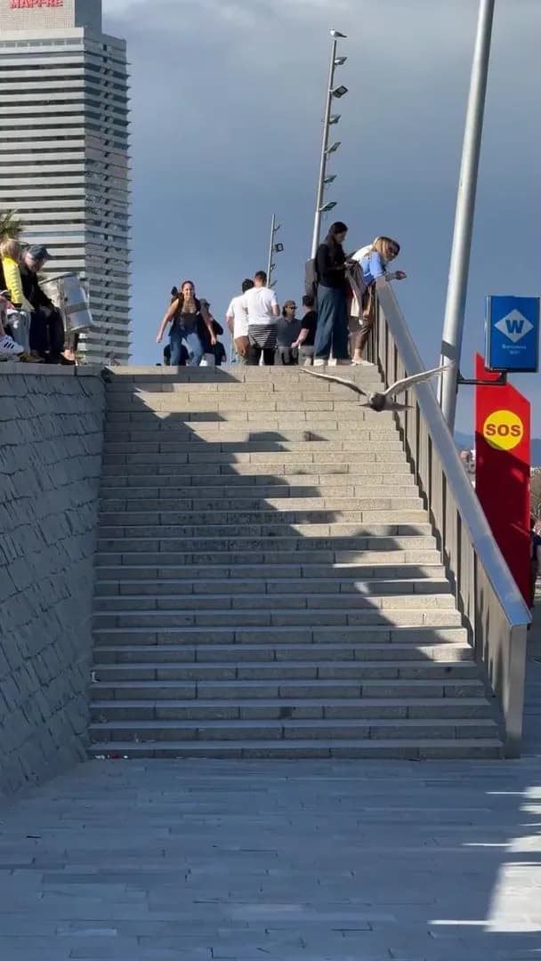 Rollerblading down the steps