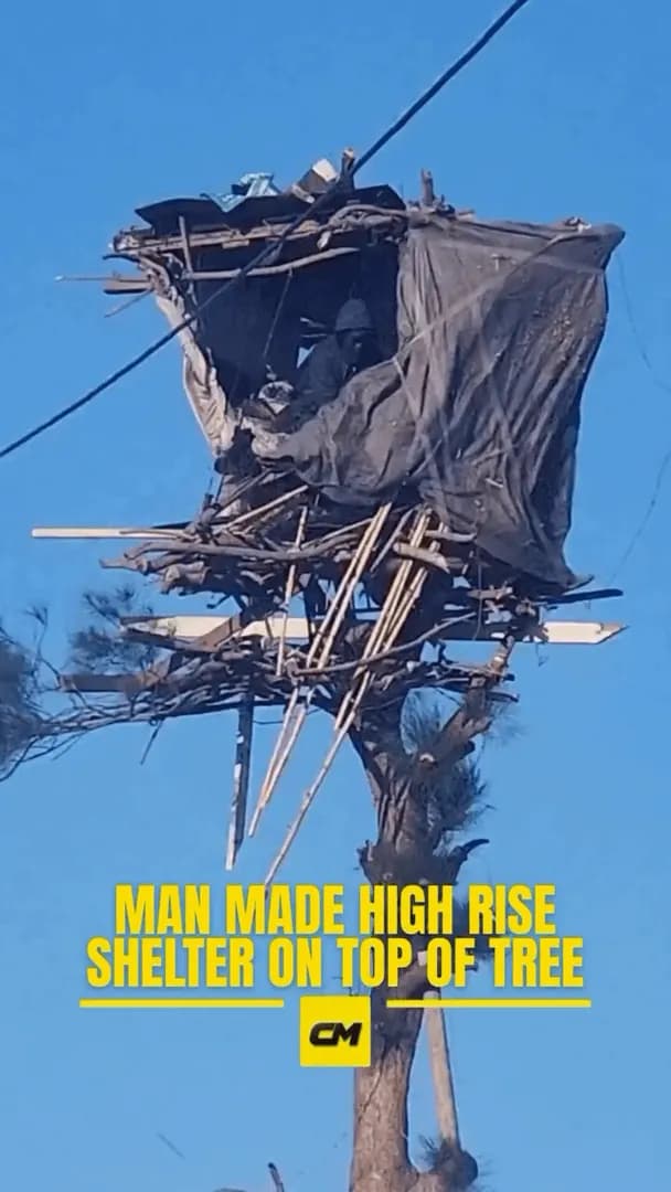 A homeless man has drawn attention after constructing a makeshift shelter high in the branches of a tree, creating what appears to be a multi-level tent-like structure above the ground.
