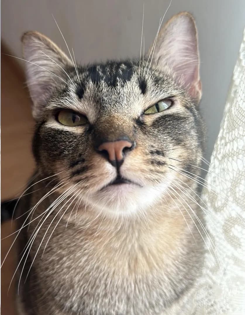 Another photo of the grumpy, it's like that with me🤣