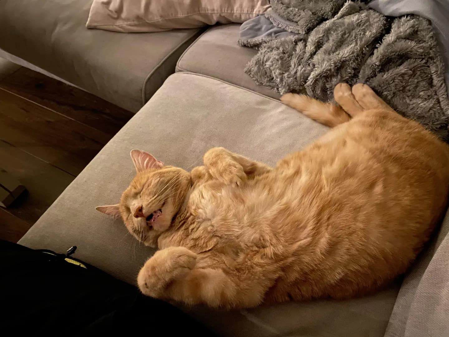 He is 10 and a food monster