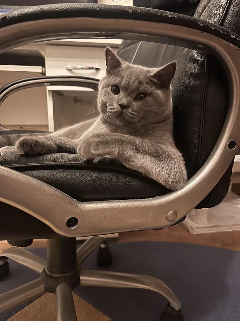 I called this meeting to discuss why the food bowl was half empty.