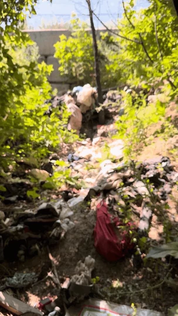 Cleaning up this forest in Calgary, Alberta.