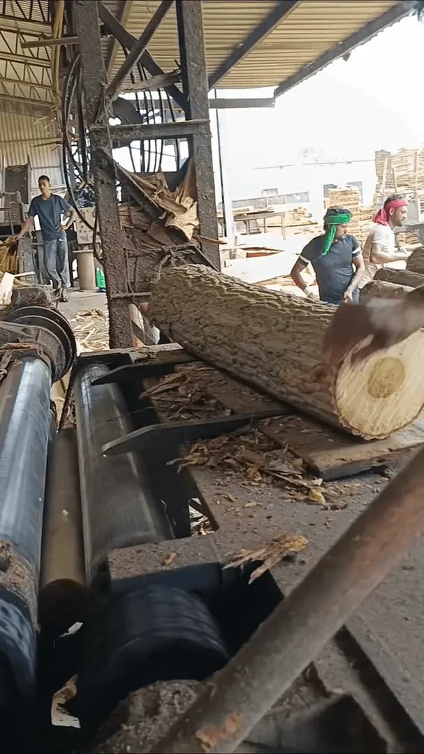 Log being Debarked